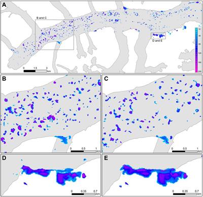 Seasonal Evolution of Supraglacial Lakes on Baltoro Glacier From 2016 to 2020